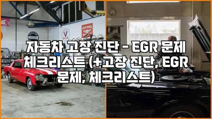 자동차 고장 진단 - EGR 문제 체크리스트 (+고장 진단, EGR 문제, 체크리스트)