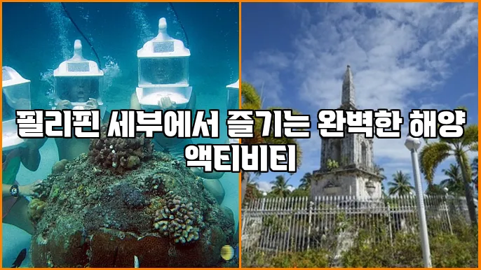 필리핀 세부에서 즐기는 완벽한 해양 액티비티